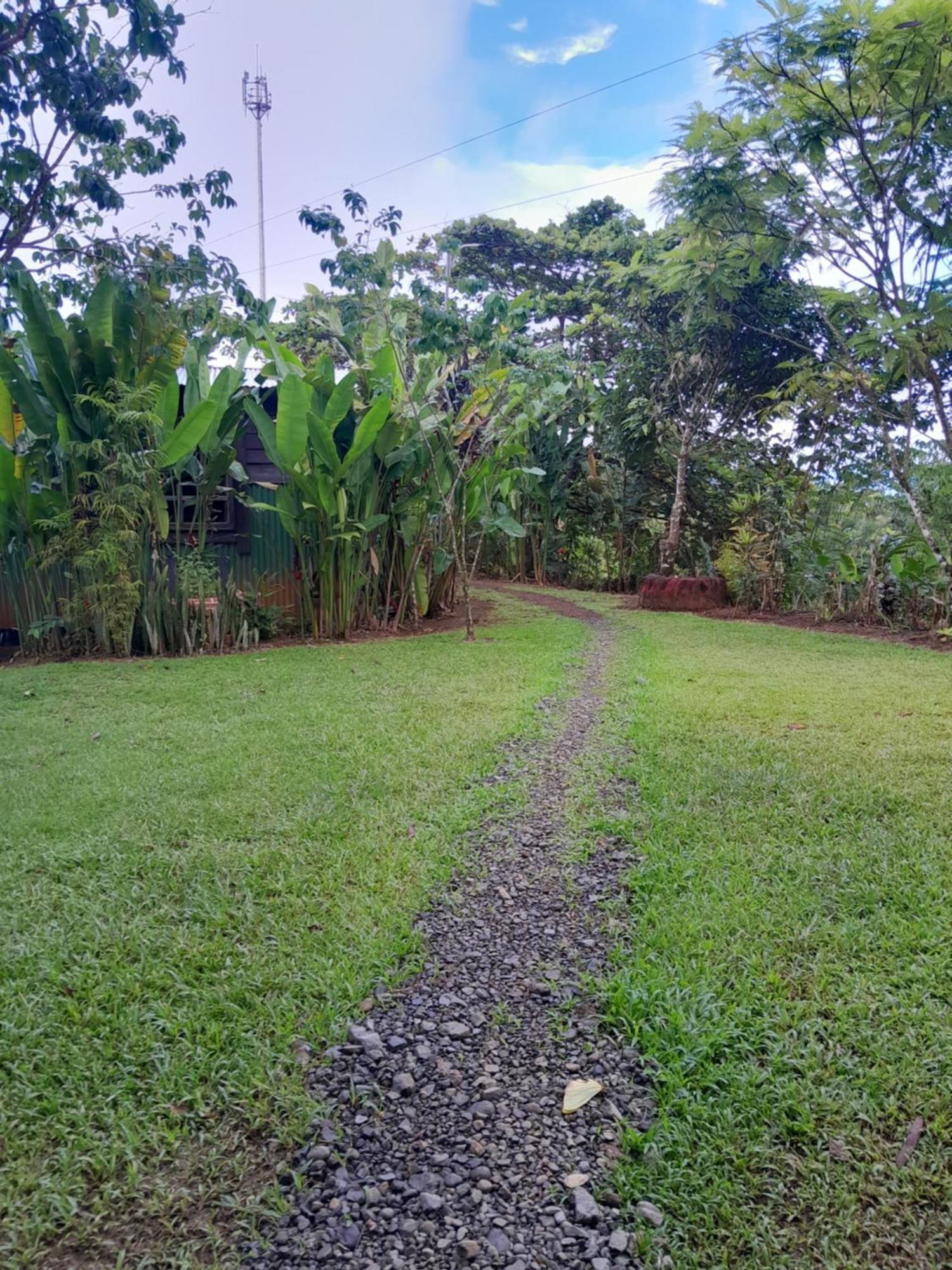 Finca La Puesta Del Sol - Miramar De Sierpe الغرفة الصورة