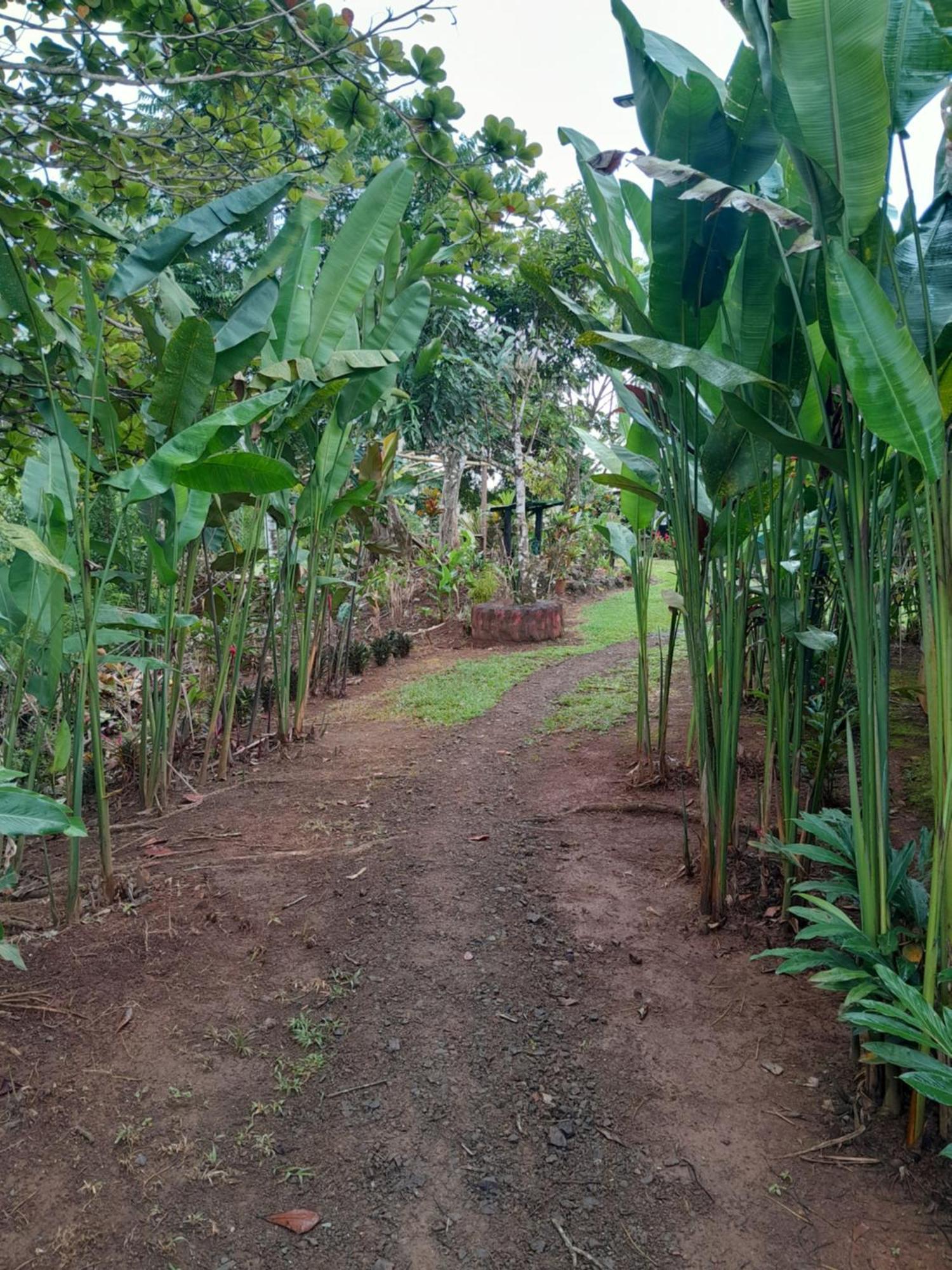 Finca La Puesta Del Sol - Miramar De Sierpe الغرفة الصورة