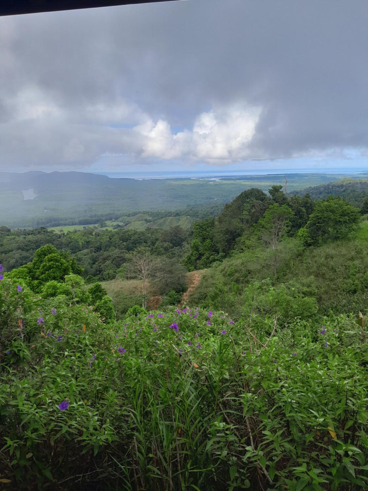 Finca La Puesta Del Sol - Miramar De Sierpe الغرفة الصورة