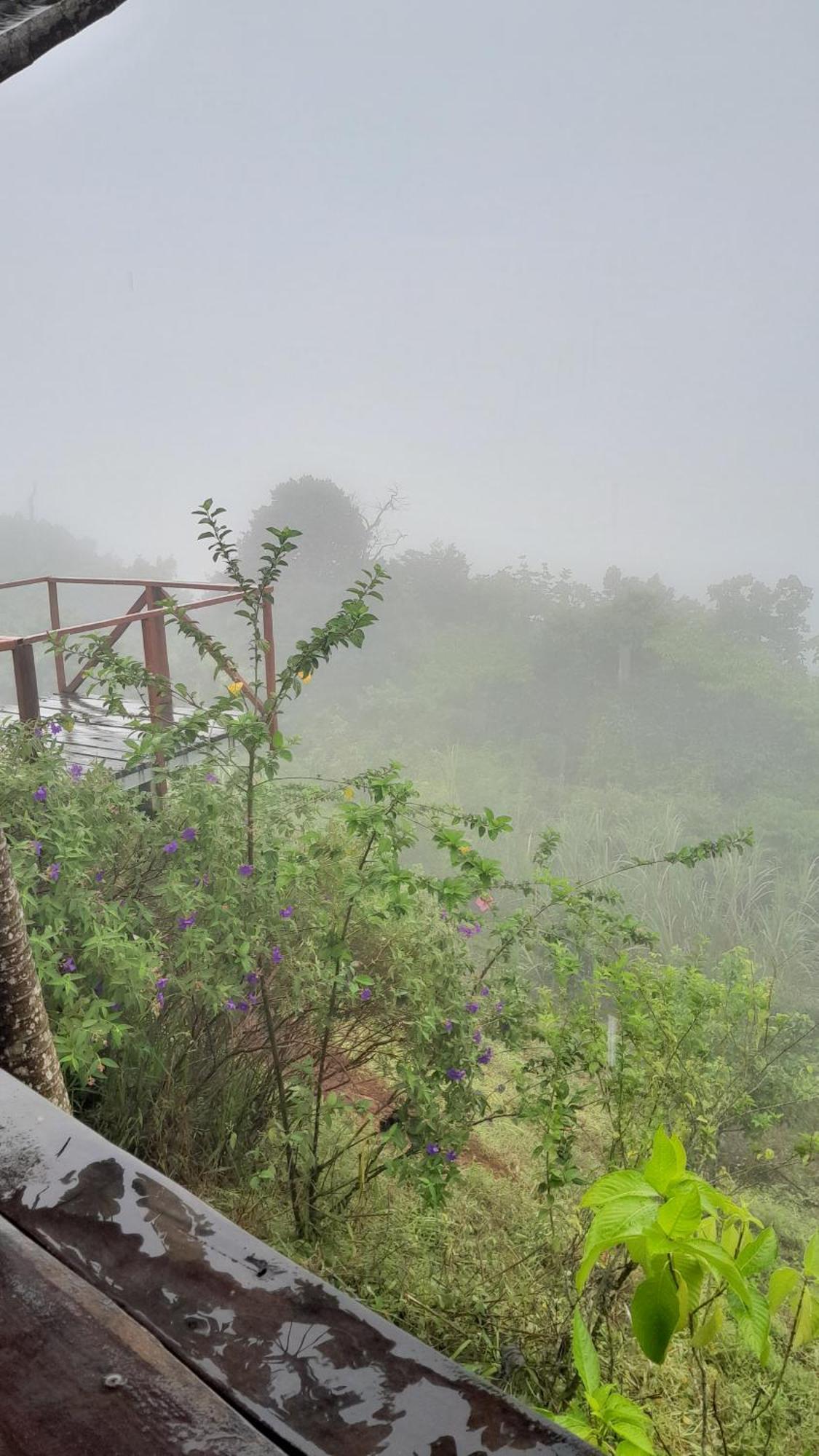 Finca La Puesta Del Sol - Miramar De Sierpe الغرفة الصورة